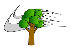 Wind in the Tree