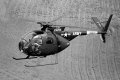 Cayuse helicopter