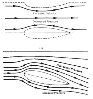 Bernoulli's Principle 