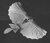 Otto Lilienthal's 1893 glider.