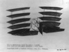 Chanute's glider multiplane model.