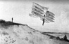 Multiple-wing Katydid in flight.