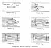 Steady flow - particle pathline = streamline
