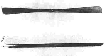 please see caption below