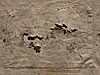 Damage repair